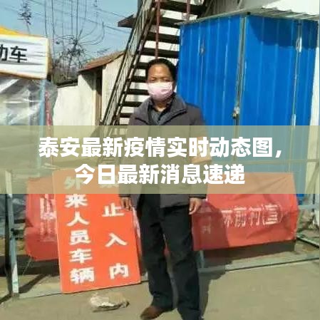 泰安最新疫情实时动态图，今日最新消息速递