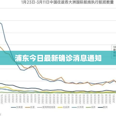 浦东今日最新确诊消息通知