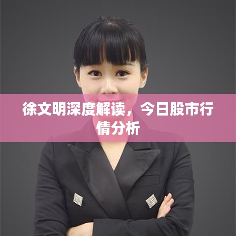 徐文明深度解读，今日股市行情分析