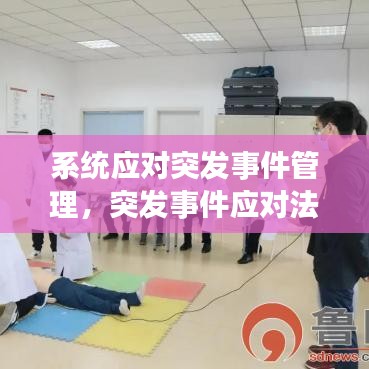 系统应对突发事件管理，突发事件应对法,应急管理的原则 