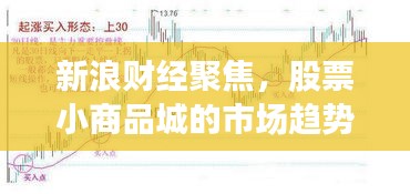 新浪财经聚焦，股票小商品城的市场趋势深度洞察与解析