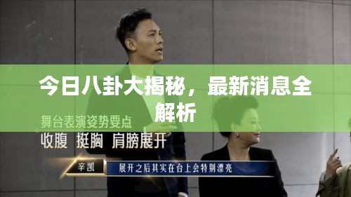 今日八卦大揭秘，最新消息全解析