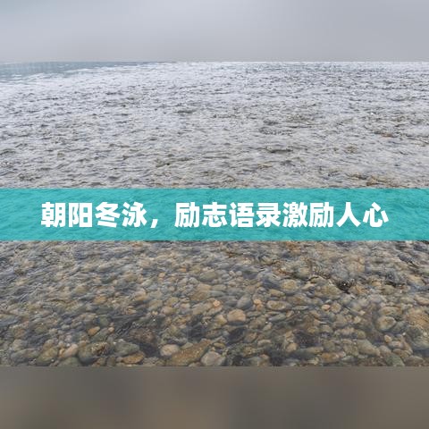 朝阳冬泳，励志语录激励人心