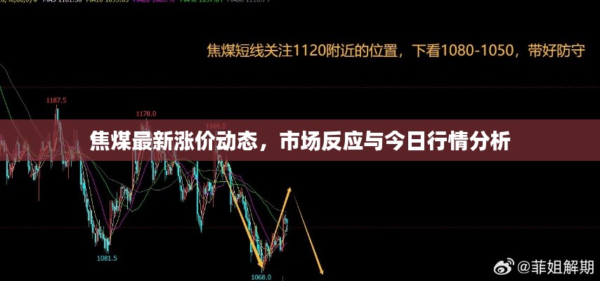 焦煤最新涨价动态，市场反应与今日行情分析