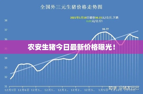 农安生猪今日最新价格曝光！