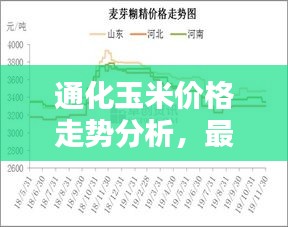 通化玉米价格走势分析，最新行情报告