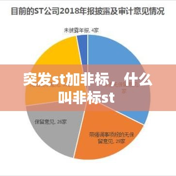 突发st加非标，什么叫非标st 