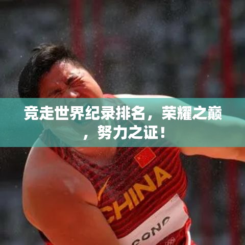 竞走世界纪录排名，荣耀之巅，努力之证！