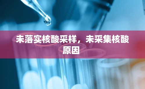未落实核酸采样，未采集核酸原因 