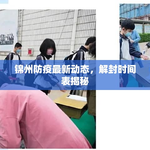 锦州防疫最新动态，解封时间表揭秘