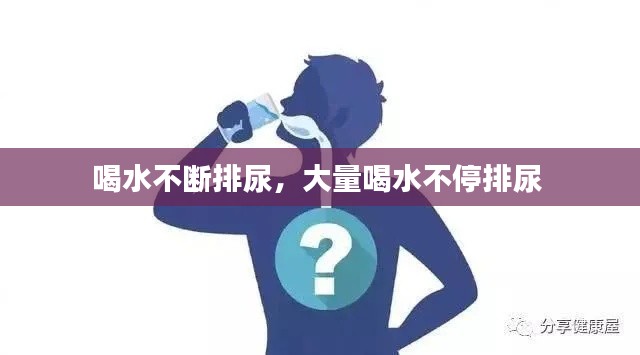 喝水不断排尿，大量喝水不停排尿 