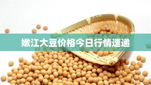 嫩江大豆价格今日行情速递