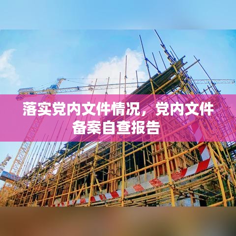 落实党内文件情况，党内文件备案自查报告 