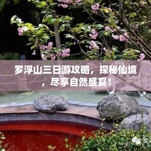 罗浮山三日游攻略，探秘仙境，尽享自然盛宴！