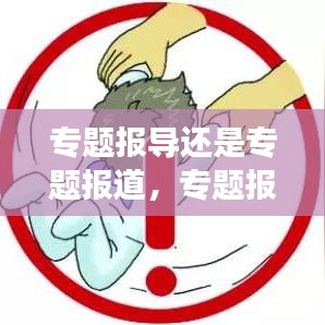 bupiwaqi