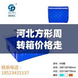 河北方形周转箱价格走势解析