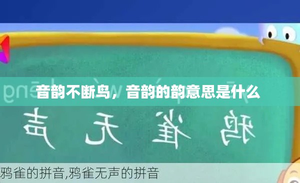 音韵不断鸟，音韵的韵意思是什么 