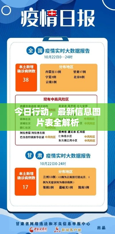 今日行动，最新信息图片表全解析