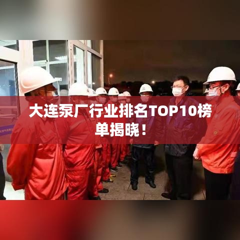 大连泵厂行业排名TOP10榜单揭晓！