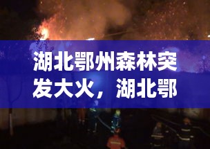 湖北鄂州森林突发大火，湖北鄂州森林突发大火事件 
