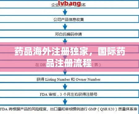药品海外注册独家，国际药品注册流程 