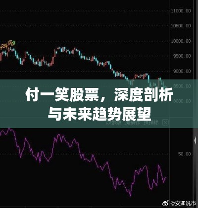 付一笑股票，深度剖析与未来趋势展望