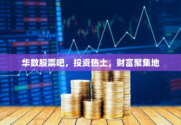 华数股票吧，投资热土，财富聚集地