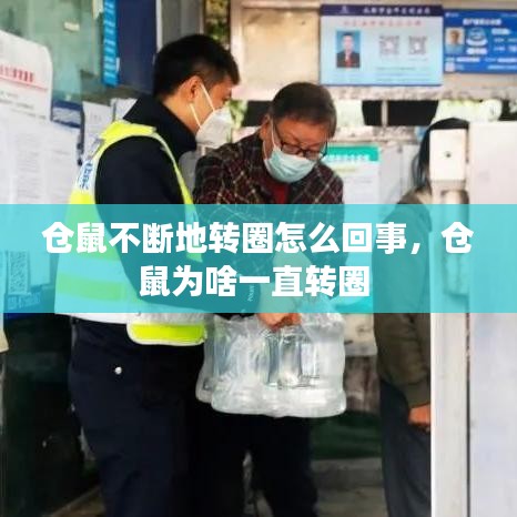 仓鼠不断地转圈怎么回事，仓鼠为啥一直转圈 