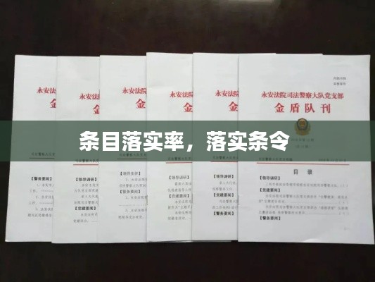 条目落实率，落实条令 