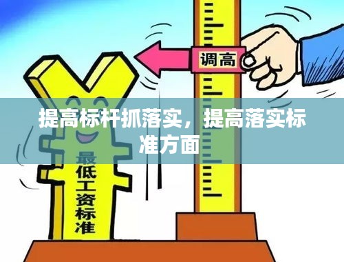 提高标杆抓落实，提高落实标准方面 