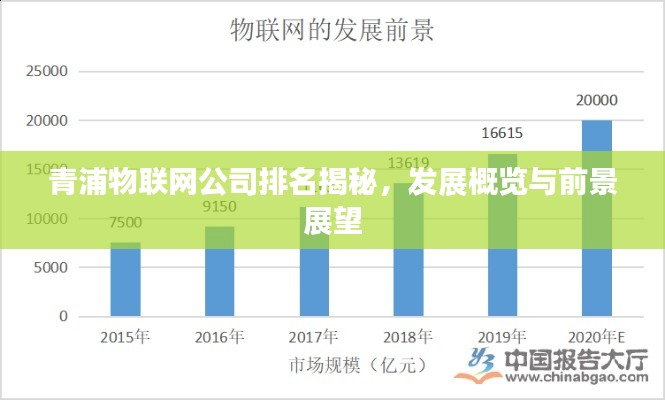 青浦物联网公司排名揭秘，发展概览与前景展望