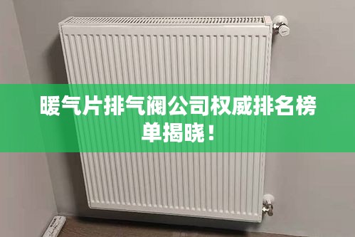 暖气片排气阀公司权威排名榜单揭晓！