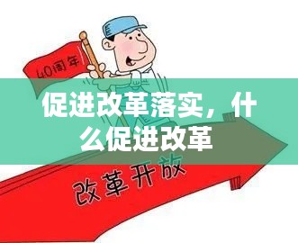 促进改革落实，什么促进改革 