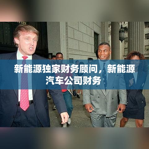 新能源独家财务顾问，新能源汽车公司财务 