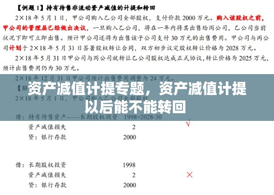 资产减值计提专题，资产减值计提以后能不能转回 