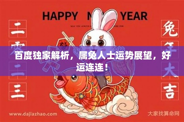 百度独家解析，属兔人士运势展望，好运连连！