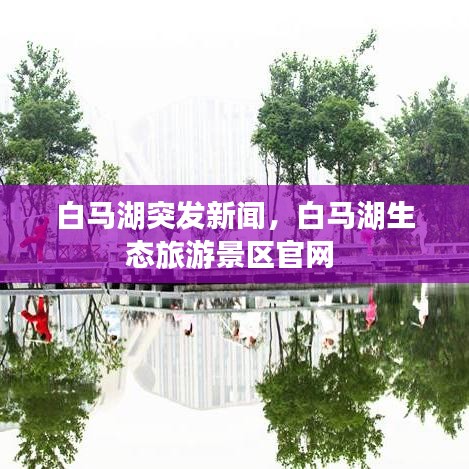白马湖突发新闻，白马湖生态旅游景区官网 