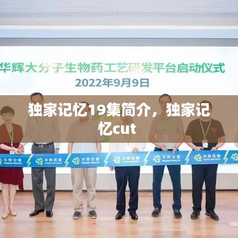 独家记忆19集简介，独家记忆cut 