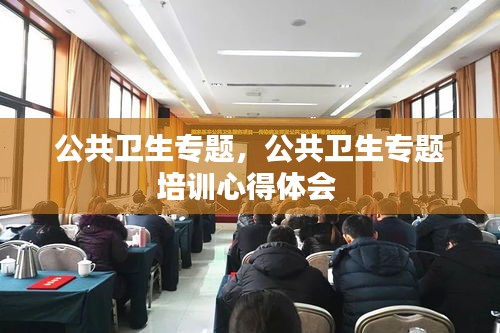 公共卫生专题，公共卫生专题培训心得体会 