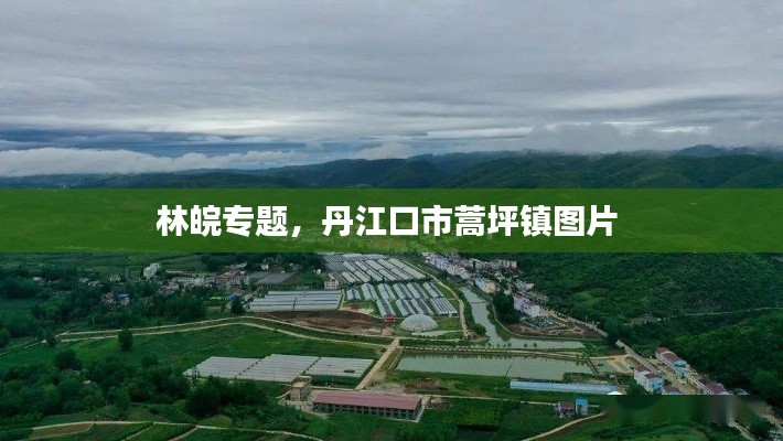 林皖专题，丹江口市蒿坪镇图片 