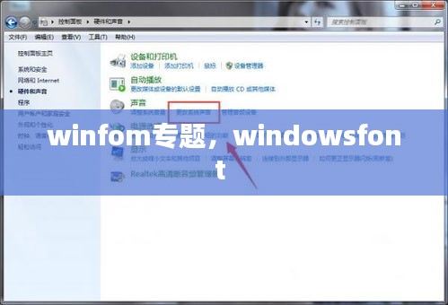 winfom专题，windowsfont 