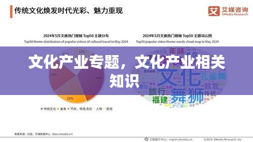 文化产业专题，文化产业相关知识 