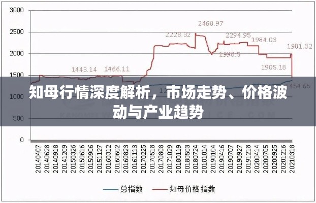 知母行情深度解析，市场走势、价格波动与产业趋势