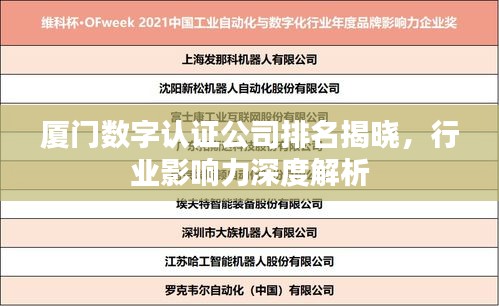 厦门数字认证公司排名揭晓，行业影响力深度解析