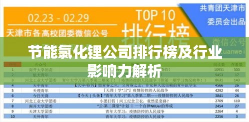 节能氯化锂公司排行榜及行业影响力解析