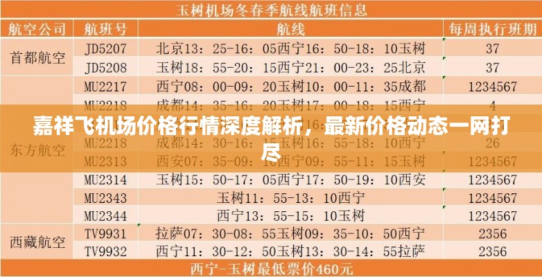 嘉祥飞机场价格行情深度解析，最新价格动态一网打尽