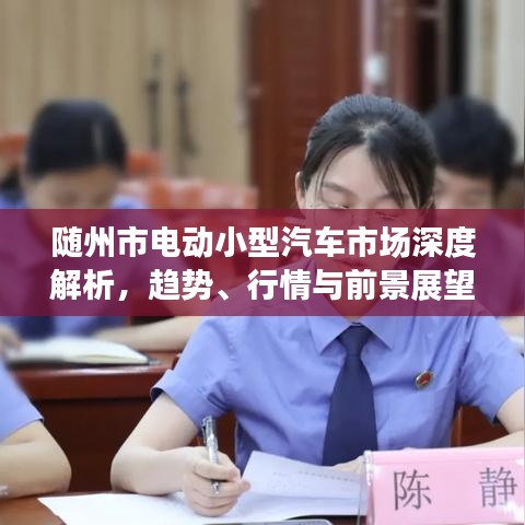 随州市电动小型汽车市场深度解析，趋势、行情与前景展望