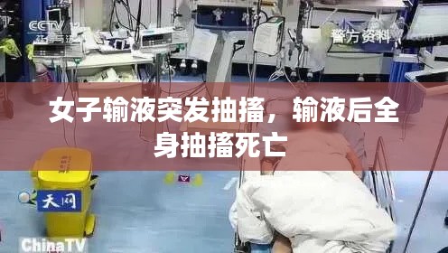 包装及包材 第5页