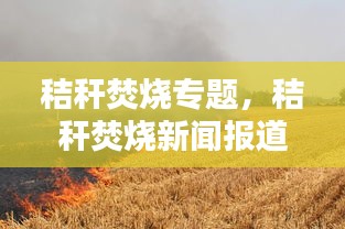秸秆焚烧专题，秸秆焚烧新闻报道 