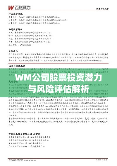 WM公司股票投资潜力与风险评估解析